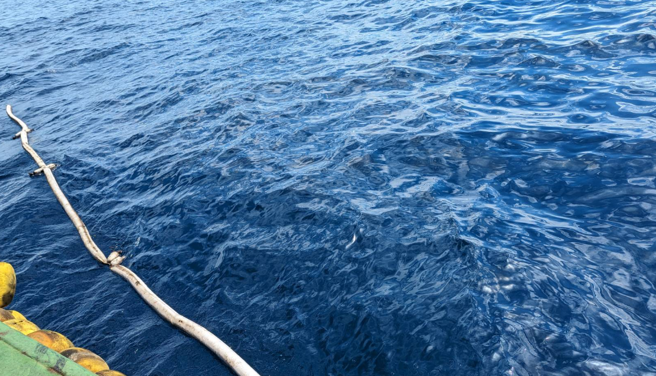 吸油索吸附海面油膜。（照片/ 港务局提供）