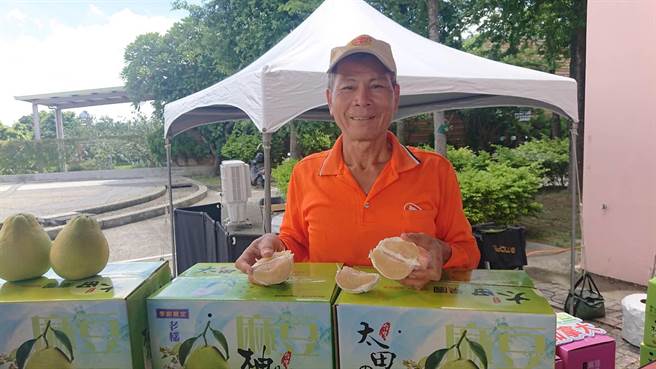 麻豆文旦農民郭才良種植的文旦今年在市場有每斤70元的好價格。（程炳璋攝）
