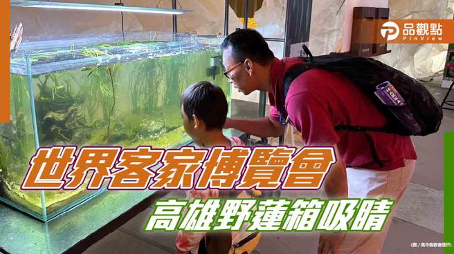 世界客家博览会高雄展区   野莲箱模拟野莲生长环境吸睛