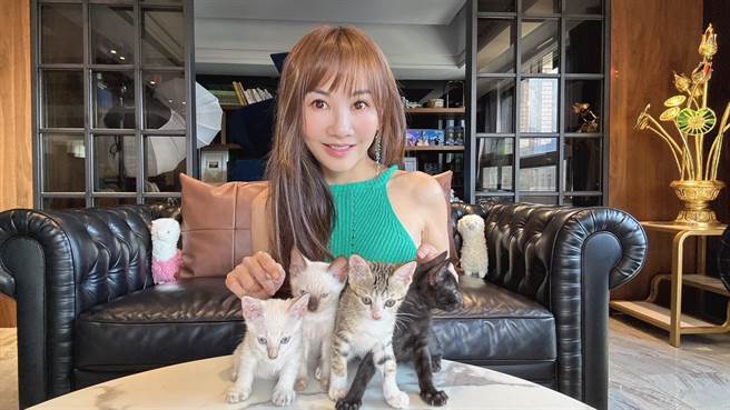 王宥忻捡到4只小猫咪，正在为牠们寻找主人。（固力狗提供）