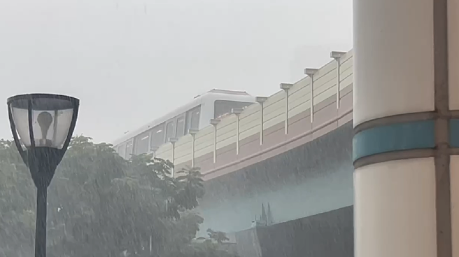 北捷文湖線號誌傳輸網路異常，辛亥站的列車直接停在軌道上。(讀者提供)