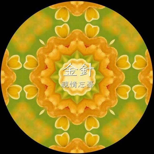 「花TIME」以万花筒动画方式呈现花卉绽放的百变姿态，让游客欣赏四季花卉样貌。（花莲县政府提供／王志伟花莲传真）