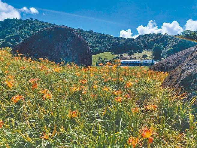 花莲金针山花季开始，县府观光处呼吁游客遵守花季期间上下山的交通管制措施及县府公告。图为赤柯山。（本报资料照片）