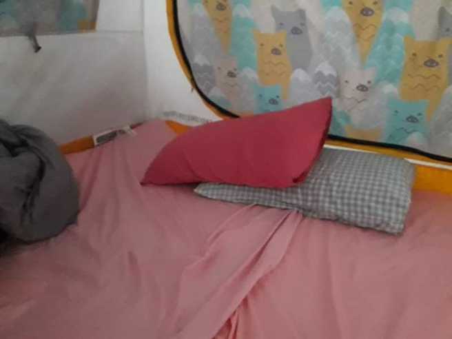 帐棚内部只有枕头、随身包包跟简单铺个床包睡地板。(翻摄自爆废公社公开版)