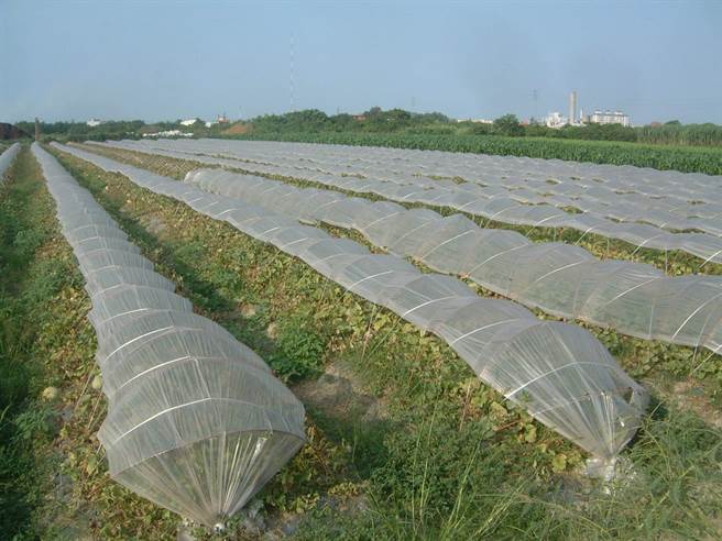 云林县政府提供「电话叫专车、农膜免费收」服务，专人专车回收废农膜。（张朝欣摄）