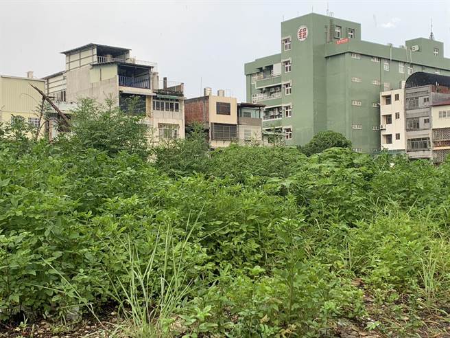 南投縣政府通過「南投縣指定清除地區汙染行為」法案」，明定空地草長超過50公分不修剪等有礙環境衛生者將依法開罰最高6千元。曾雪蒨攝