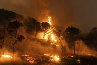 影》希臘野火奪20命！雅典外圍數千人疏散