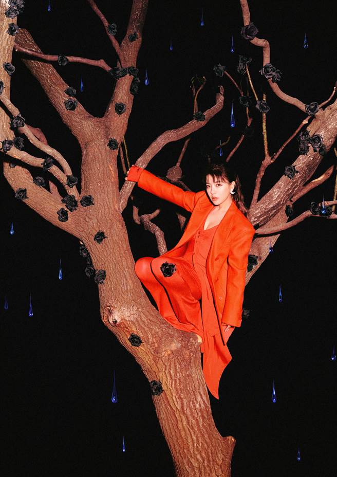 丁噹爬到树上拍摄演唱会海报。（相信音乐提供 )