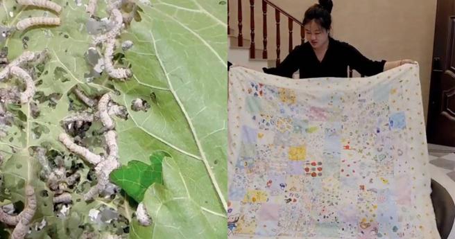 妹妹偶然在抖音上刷到「百家被」，現在姐姐要出嫁，就想親手做件蠶絲被送給姐姐。（圖／截自微博）