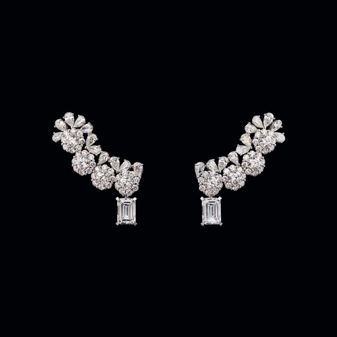 DIOR Galon Fleuri钻石耳环，2200万元。（DIOR提供）