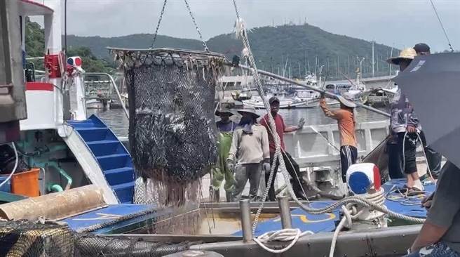 苏澳区渔会怒批，都说没问题，不然请日本人先吃吃看啊！（吴佩蓉摄）