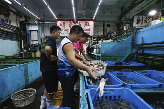 香港24日起禁止日本部分地区水产品进口。图为批发市场业者人员24日筛选螃蟹。（美联社）