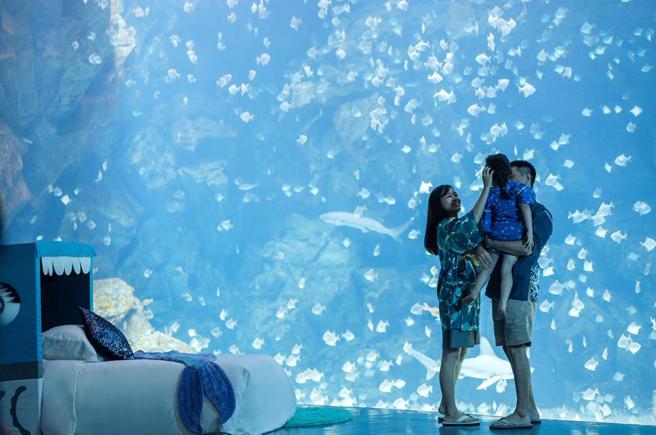 （COZZI Blu和逸饭店．桃园馆「Blu Night宿海奇遇」推出9月限定周五「岛屿梦游」，激发孩子对海「知」的欲望。图／COZZI Blu和逸饭店．桃园馆）