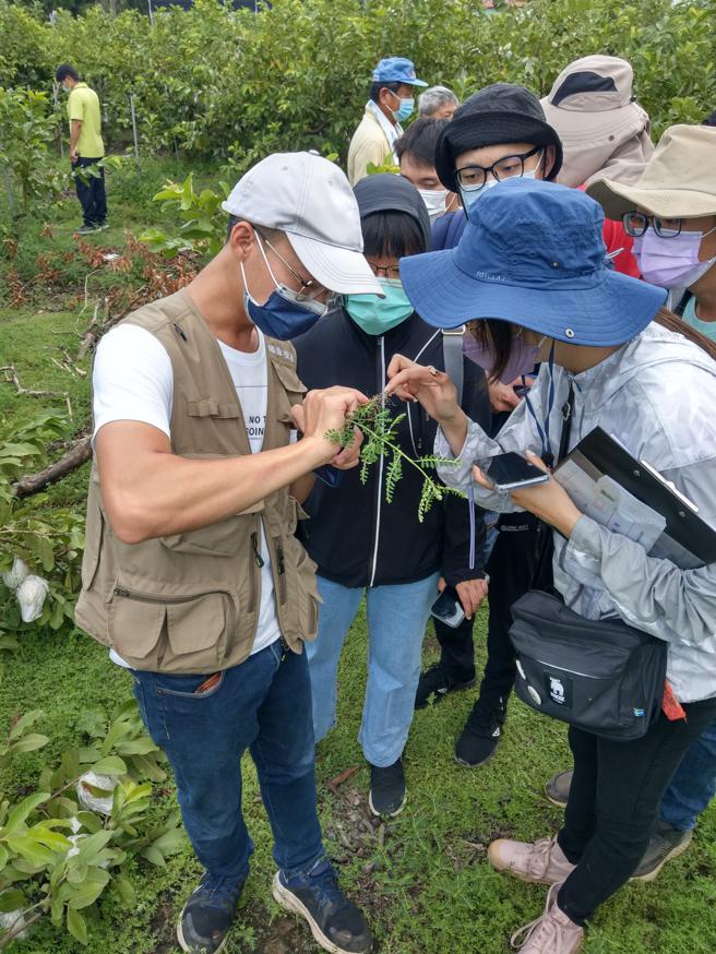 農民面對作物發生疫病蟲害問題時，在缺乏植物醫師專業服務的情況下，容易衍生農藥濫用情形。（圖片來源：高雄市政府農業局提供）
