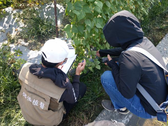 
高雄市政府農業局於106年開始導入植物醫師派駐農業產區為農友服務。（圖片來源：高雄市政府農業局提供）

