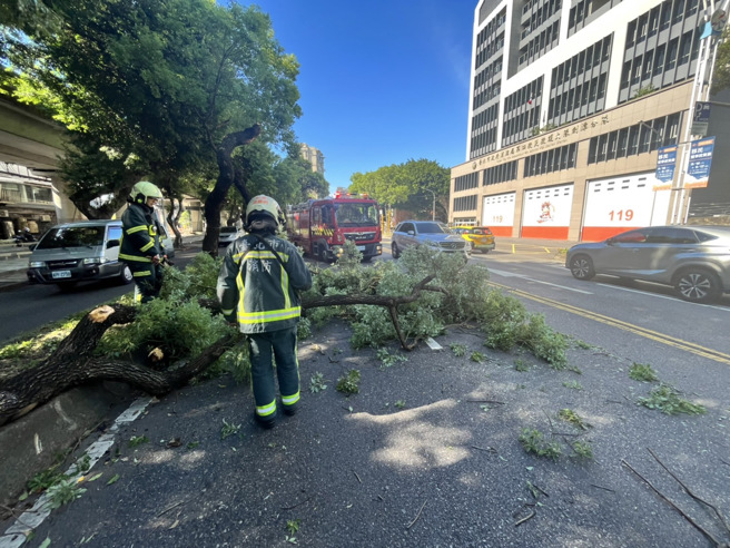 士林区中山北路五段376号，现场系1棵路树（直径约60公分、高度约15公尺）折断，2线车道（中山北路五段往市区方向）无法通行。（图／消防局提供）