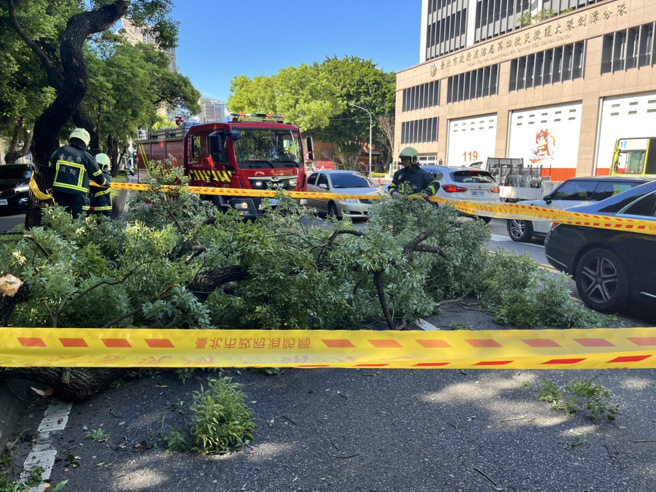 士林区中山北路五段376号，现场系1棵路树（直径约60公分、高度约15公尺）折断，2线车道（中山北路五段往市区方向）无法通行。（图／消防局提供）