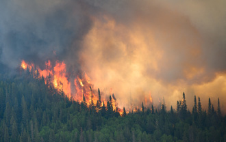 加拿大野火燒不停 Meta擋新聞分享被控危害人命