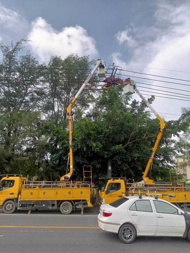 台電高雄區處說明，經立即派員巡查發現，事故原因為樹枝碰觸高壓線路導致桿上裝腳礙子破損。（台電提供）
