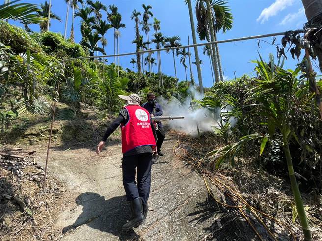 嘉义县再增1例登革热确诊，加强扩大环境清消。（嘉义县政府提供／廖素慧嘉县传真）