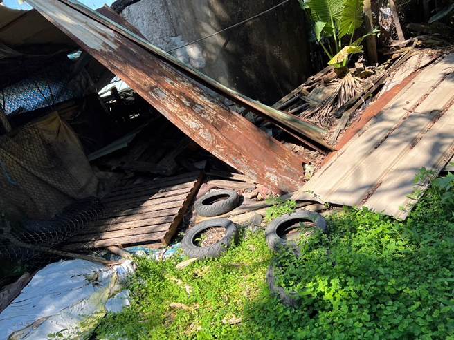 嘉义县再增1例登革热确诊，县府呼吁民眾加强移除废轮胎。（嘉义县政府提供／廖素慧嘉县传真）