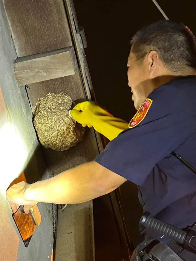 日前林志阳徒手捕虎头蜂被民眾PO到脸书上，引发网友热议。（翻摄脸书「我是永靖人(枝仔冰)」／吴建辉彰化传真）