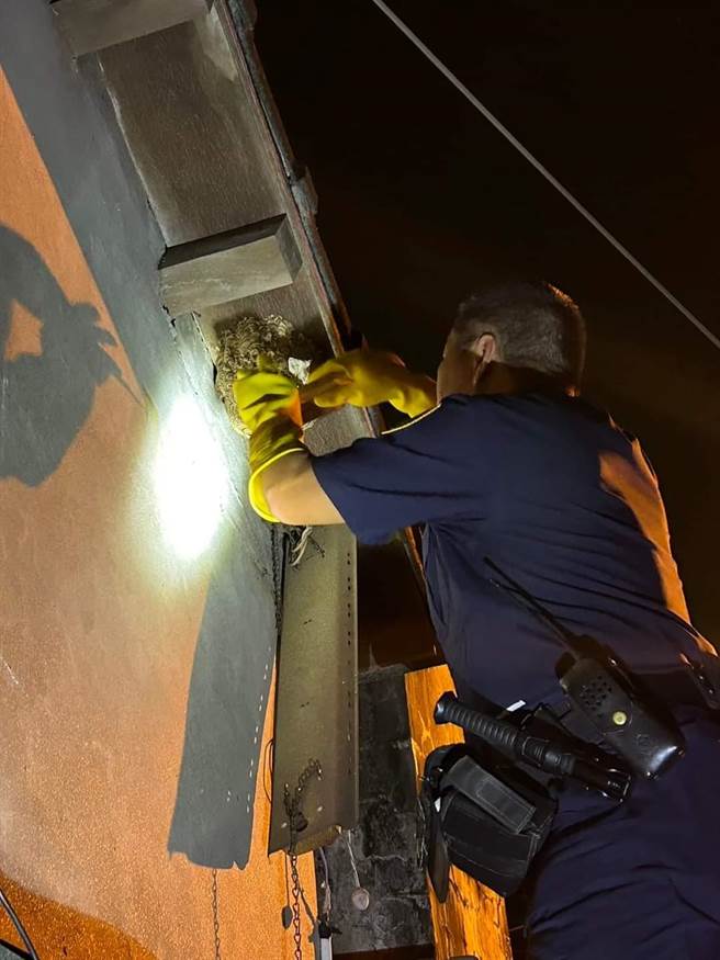 林志阳说，要摘虎头蜂窝不是每次都能徒手，要看虎头蜂窝的大小。（翻摄脸书「我是永靖人(枝仔冰)」／吴建辉彰化传真）