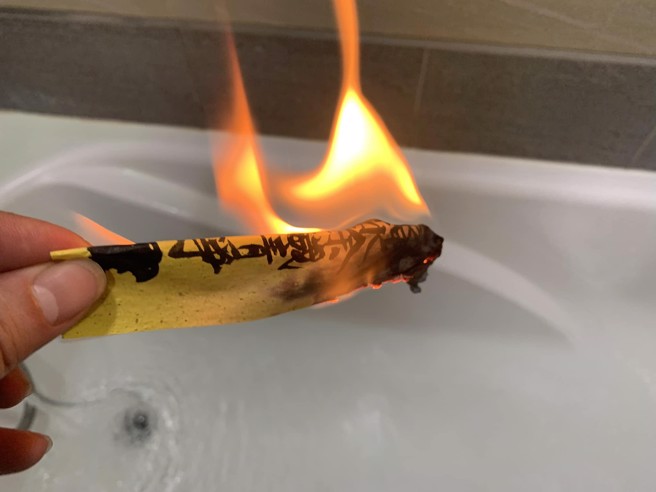 高雄1家3口在疫情期间想增强抵抗力，喝了含有毒性植物「大花曼陀罗」符水致中毒。（示意图 ／ 本报资料照片）