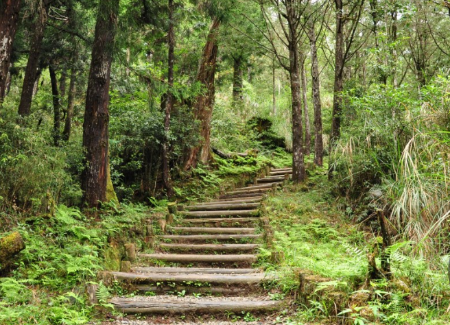 颱风苏拉接近台湾，明天下半天可能发布陆上颱风警报，30、31日易有强风豪雨，林业署今天呼吁民眾暂时不要登山，且29日可能就辖管国家森林游乐区等发布预警性休园。（图／翻摄自林业署网站）