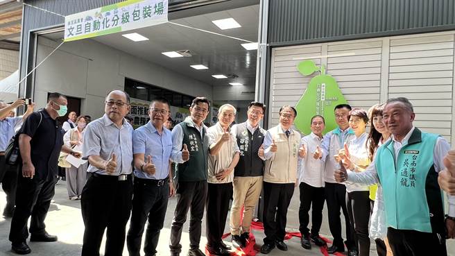 台南市麻豆区农会建置台湾首座文旦智慧化自动分级包装场，28日举行盛大的揭牌典礼。（张毓翎摄）