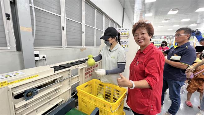 麻豆区农会今年能自行接单，将麻豆文旦外销加拿大，得要归功于这座包装厂的建置。（张毓翎摄）