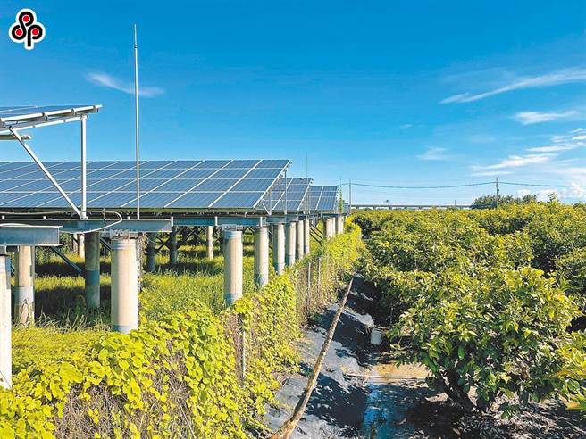 农业部表示，台南市后壁区近8成农地为特定农业区优良农地，亦为水稻重要产区，强调，不同意优良农地变更设置太阳光电衝击国内重要粮仓。（报系资料照）