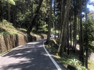 蘇拉颱風來襲  藤枝國家森林遊樂區30日起休園2天
