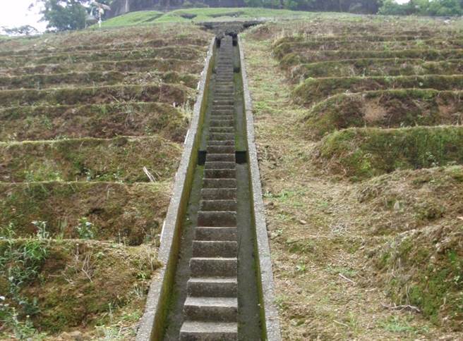 蘇拉颱風來襲，農業部茶改場與農改場齊籲農友注意防範，圖為茶園排水溝清理。（茶改場提供／蔡明亘桃園傳真）