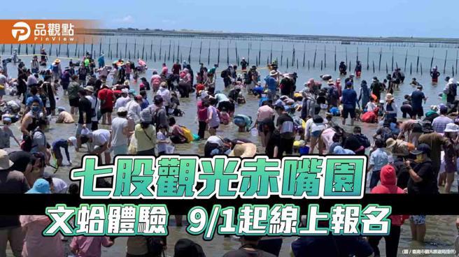 七股觀光赤嘴園挖文蛤體驗 4場次3500名額 9/1起線上報名（圖片來源：台南市觀光旅遊局提供）