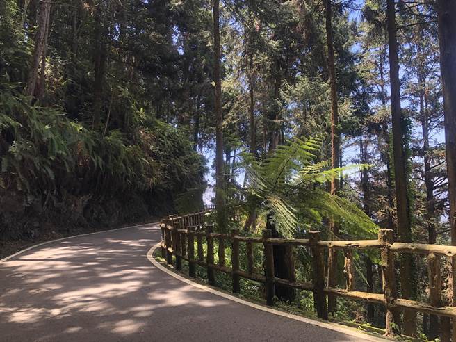 因应苏拉颱风逼近，林业保育署屏东分署考量桧谷山屋位处偏远山区且海警已发布，因此由8月29日零时起预警性封闭至8月31日，藤枝国家森林游乐区则从8月30日至31日（星期三至四）休园。(林业保育署屏东分署提供／林雅惠高雄传真)