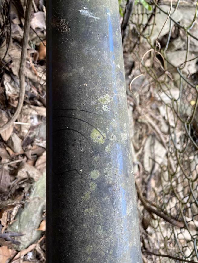 在鸡舍周边勘查发现黑熊爪痕迹。（林业及自然保育署花莲分署提供／王志伟花莲传真）