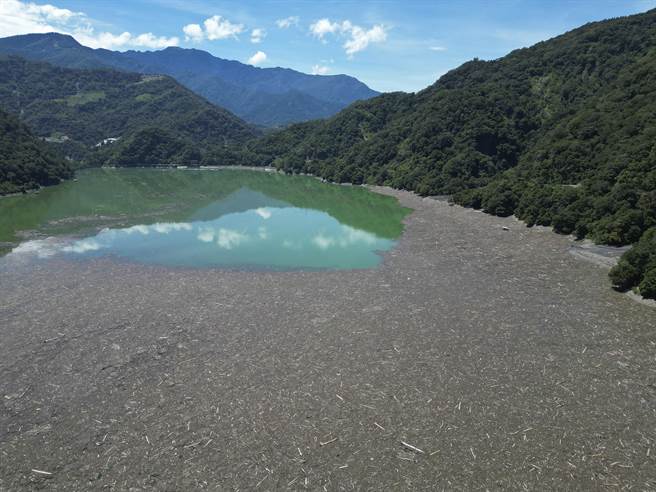 中颱「苏拉」逼近台湾，气象局29日下午发布陆上警报，上次「卡努」颱风大雨冲刷大量漂流木进入雾社水库，万大发电厂灾后虽已展开清理，但湖面目前仍堆积大量漂流木，厂方又另行发包工程，增加厂商及人手加速清除进度。（黄子明摄）