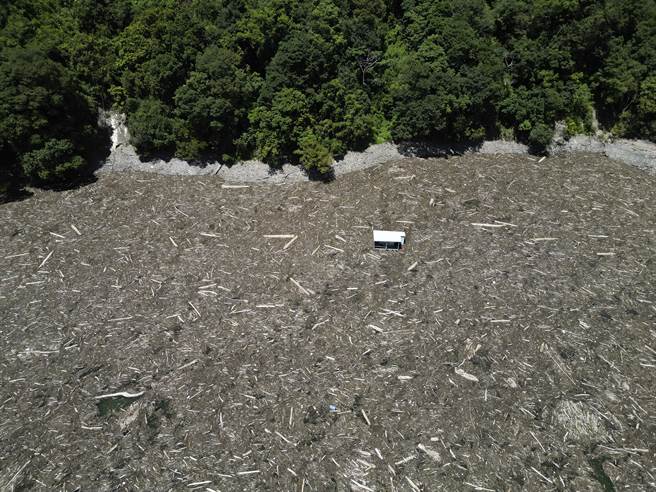 中颱「苏拉」逼近台湾，气象局29日下午发布陆上警报，上次「卡努」颱风大雨冲刷大量漂流木进入雾社水库，水库中一间工寮遭浮木团团包围；万大发电厂灾后虽已展开清理，但湖面目前仍堆积大量漂流木，厂方又另行发包工程，增加厂商及人手加速清除进度。（黄子明摄）