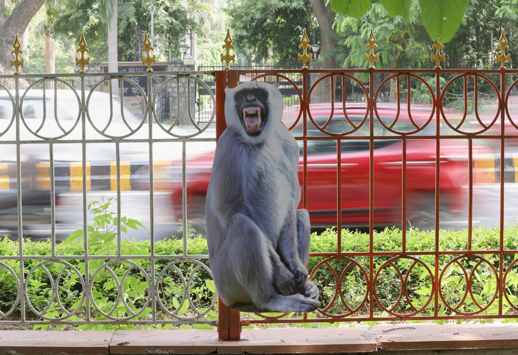 印度首都德里即将举办G20峰会，街头近日出现实体大小的灰叶猴看板，用来驱赶峰会地点与动线周边的猴子。（路透）(photo:ChinaTimes)