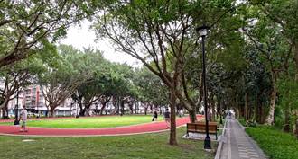 板橋廣福公園整建完工啟用 提升休憩運動環境