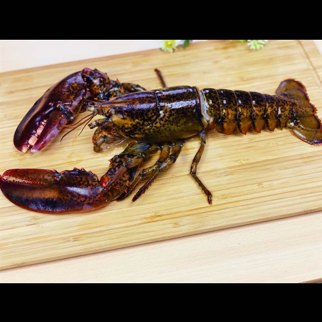 OKmart引進多款烤肉食材組合，包括重達450g的「加拿大生凍波士頓龍蝦」，606元。（OKmart提供／朱世凱台北傳真）