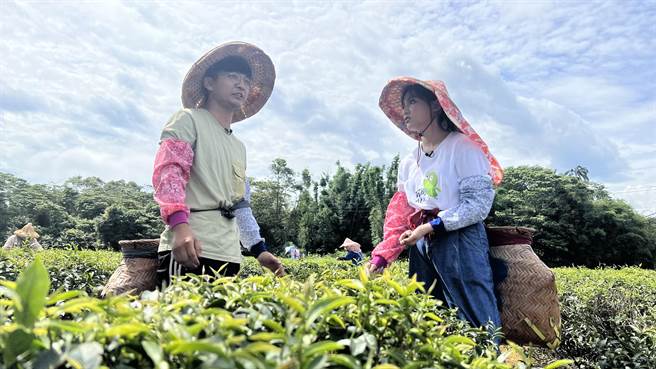《趣桃Chill嗨嗨》直击龙潭百万好茶的生产基地，实际体验制茶过程。(桃市府提供／蔡依珍桃园传真)