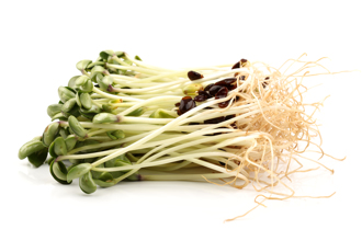 豆芽菜抗老化又防癌 「這款」最營養：比青花椰還強