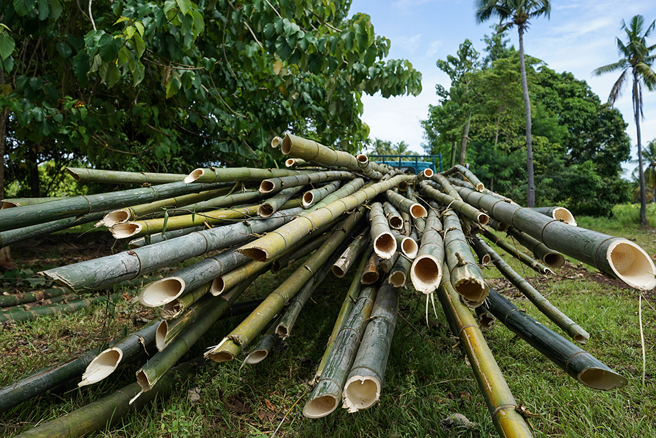 大货车因煞车不及，被前车运载的大量竹竿刺穿挡风玻璃。（示意图／达志影像）