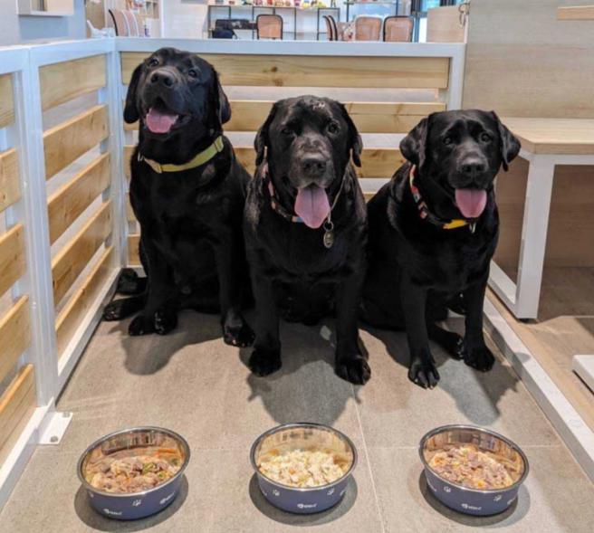 园内也提供毛孩们专用的食物。（乐吧提供/林欣仪台北传真）