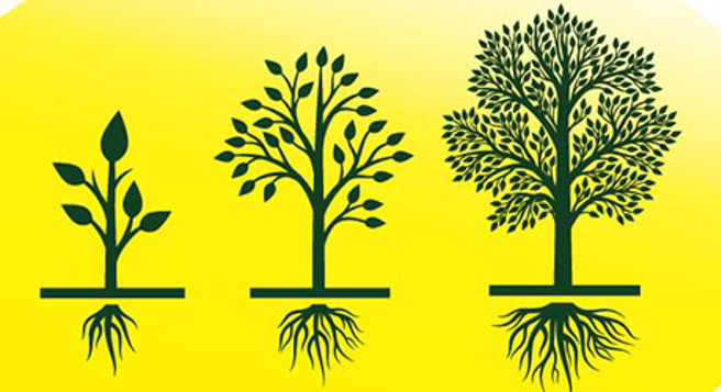 思考明年策略重点，最重要的三个问题。（图/ EMBA提供）

