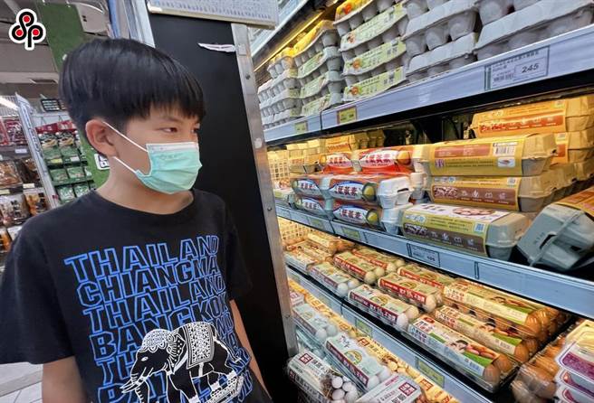 委託超思公司進口的是巴西雞蛋，今年1到7月進口共8814萬顆巴西雞蛋，占進口雞蛋比例為59.2％。（報系資料照）