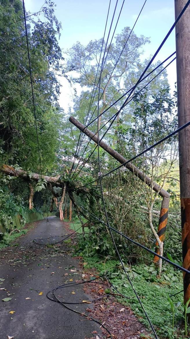 台電南投區處提醒如有電線遭颱風吹落，請立即通知台電處理，勿自行撿拾或碰觸，避免觸電。（台電南投區處提供）