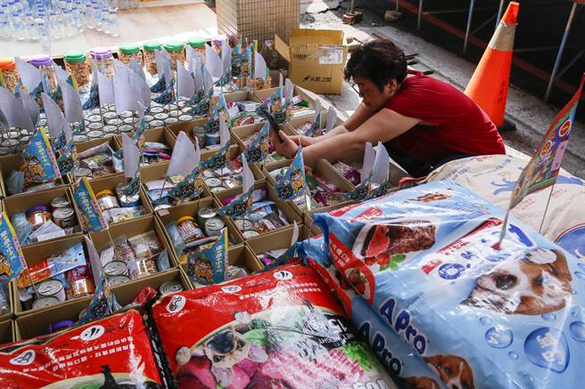 一名女子找到去世爱犬供品后拍照留念。（黄子明摄）